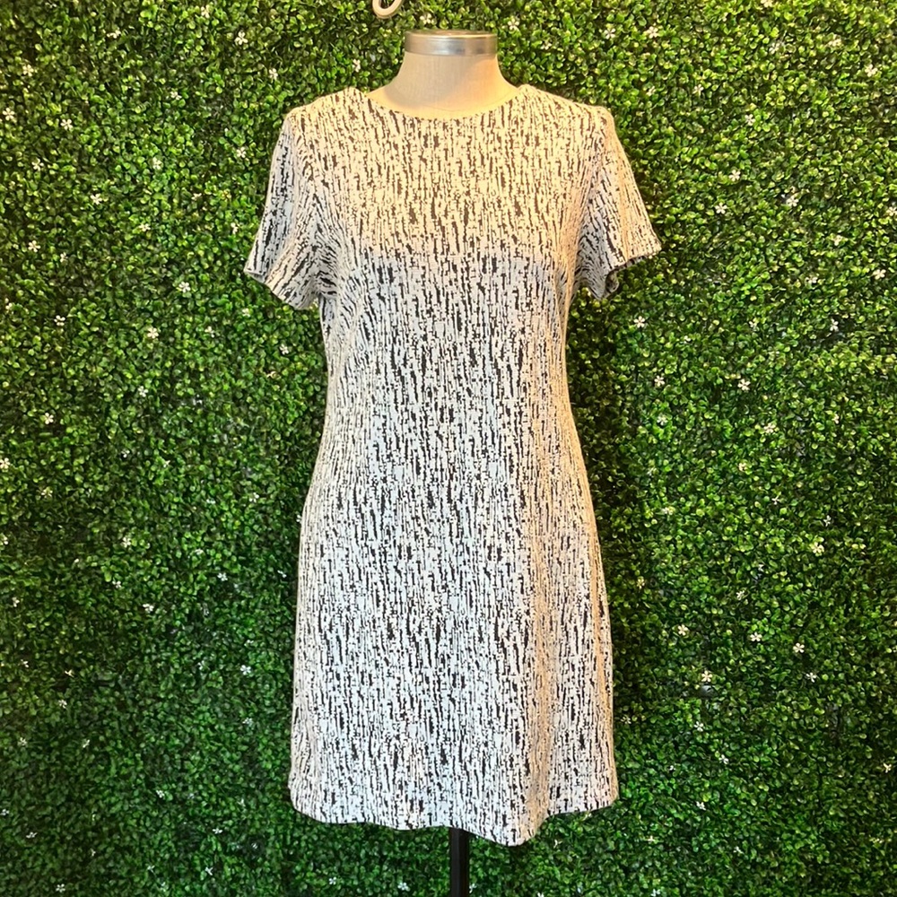 Premise shift dress